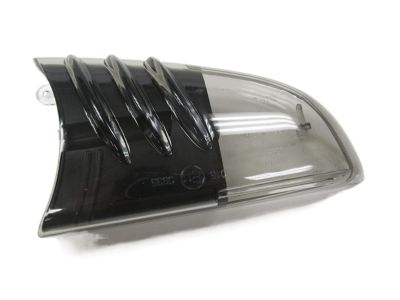 Buick 19120869 Lens