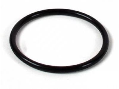 Chevy Silverado 2500 HD Thermostat Gasket - 94011603