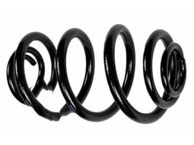 Buick 42398115 Coil Spring