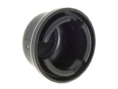 Chevy 22699534 Wiper Arm Cap