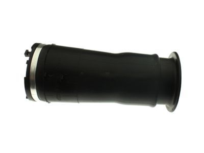 Hummer 15938306 Air Spring