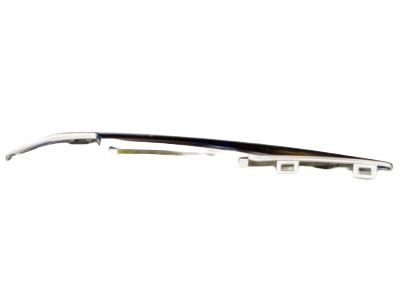 Cadillac 22968428 Lower Molding