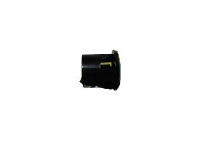 Buick 20624800 Plug Retainer