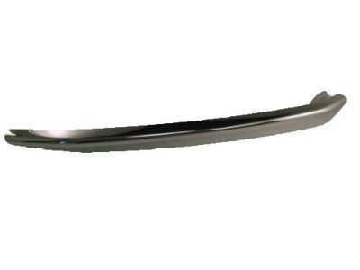 Chevy 22936485 Outer Molding