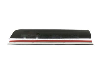 GMC 22760310 Body Side Molding