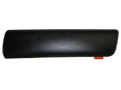 Chevy 15218566 Side Molding