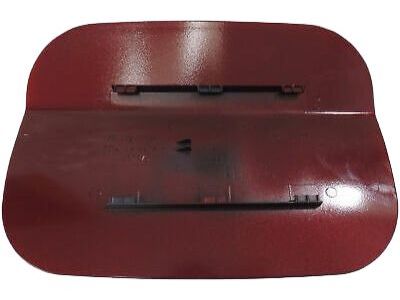 GM 23384171 Door, Fuel Tank Filler R