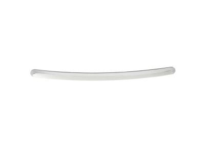 GMC 10385156 Front Molding