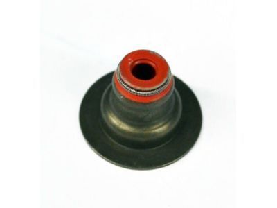 Saturn 24405819 Valve Seals