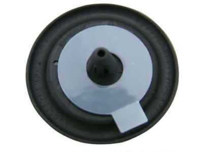 GMC 13233501 Protect Cap