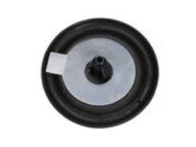 GMC 13233501 Protect Cap