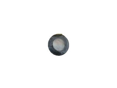 Cadillac 12494847 Indicator Seal