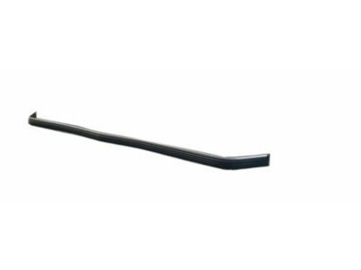 Chevy 15574113 Impact Strip