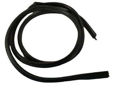 Hummer 25977403 Door Weatherstrip