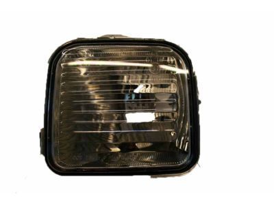 GM 15816666 Lamp,Parking & Turn Signal