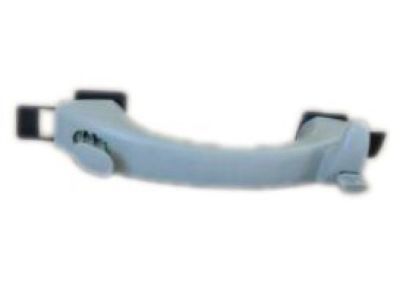 GMC 15771428 Assist Strap