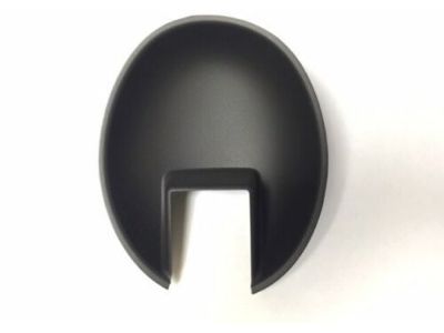 GM 15118846 Bezel, Front Side Door Inside Handle *Ebony