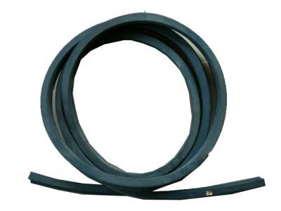 GMC 15522764 Weatherstrip