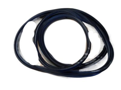 Saturn 13114514 Weatherstrip