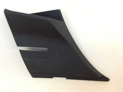 GM 15946002 Panel, Air Inlet Grille (End Cover) *Black