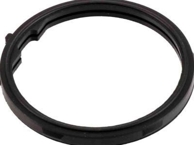 Chevy 12587397 Thermostat Seal