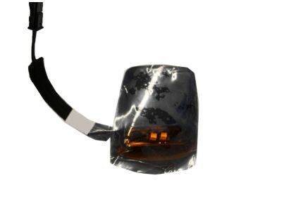 GMC 22794642 Roof Lamp Assembly