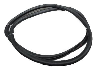 Chevy Cruze Weather Strip - 95021340