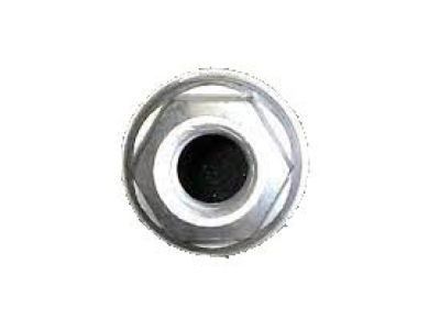 GMC 11609767 Antenna Assembly Nut