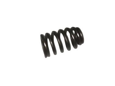 Hummer 12592506 Valve Springs