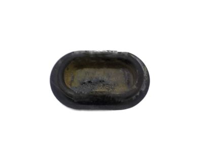 Cadillac 20880973 Lock Knob Seal