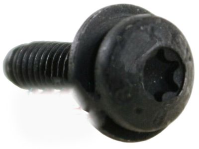 Cadillac 11609657 Lower Gate Trim Screw