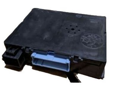 Pontiac 10439803 Module