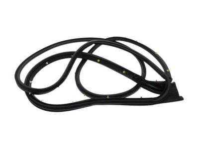 GMC Weather Strip - 84769032