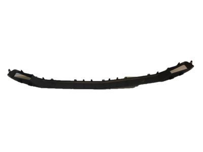 Chevy 22936495 Lower Molding