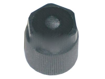 Buick 88957401 Evaporator Tube Cap