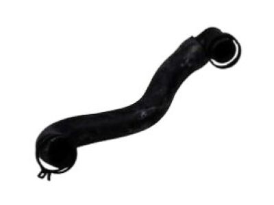 Buick 15792424 Hose