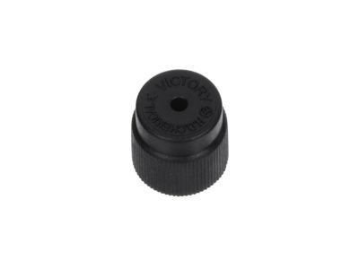 Chevy 96961786 Evaporator Tube Cap