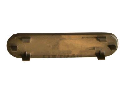 Chevy 10314828 PLUG,FRONT SIDE DOOR PULL HANDLE FINISH(NEUTRAL)