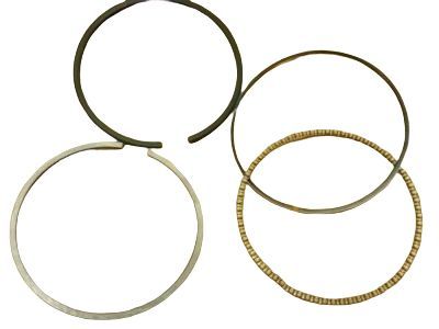 2010 Cadillac DTS Piston Ring - 89017413