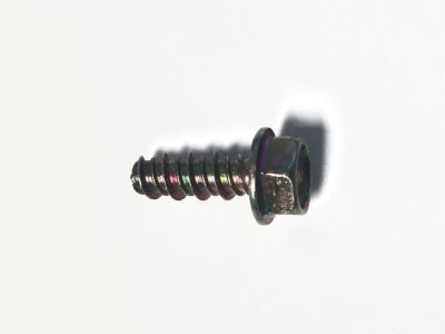 Pontiac 16518297 Lens & Housing Bolt