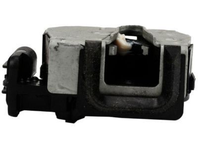 GM 15778435 End Gate Latch Assembly