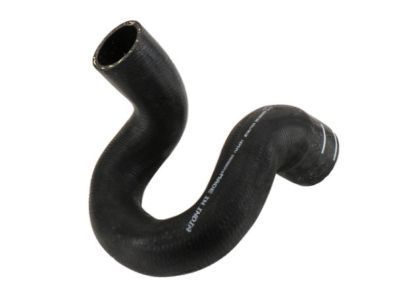 Chevy 96958195 Lower Hose