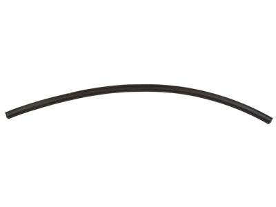 Buick 10250195 Weatherstrip