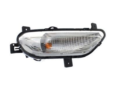 Chevy 42663534 Signal Lamp Assembly