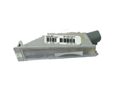 Cadillac 20901148 License Lamp