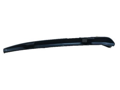 Chevy 22936487 Outer Molding