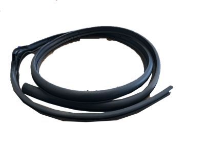 Chevy 10401530 Door Weatherstrip