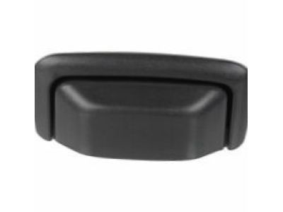 Pontiac 5485520 Handle