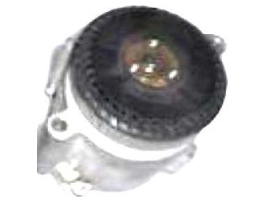 Cadillac 7838575 A.I.R. Pump