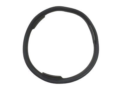 Chevy 22515965 Fuel Pump Seal